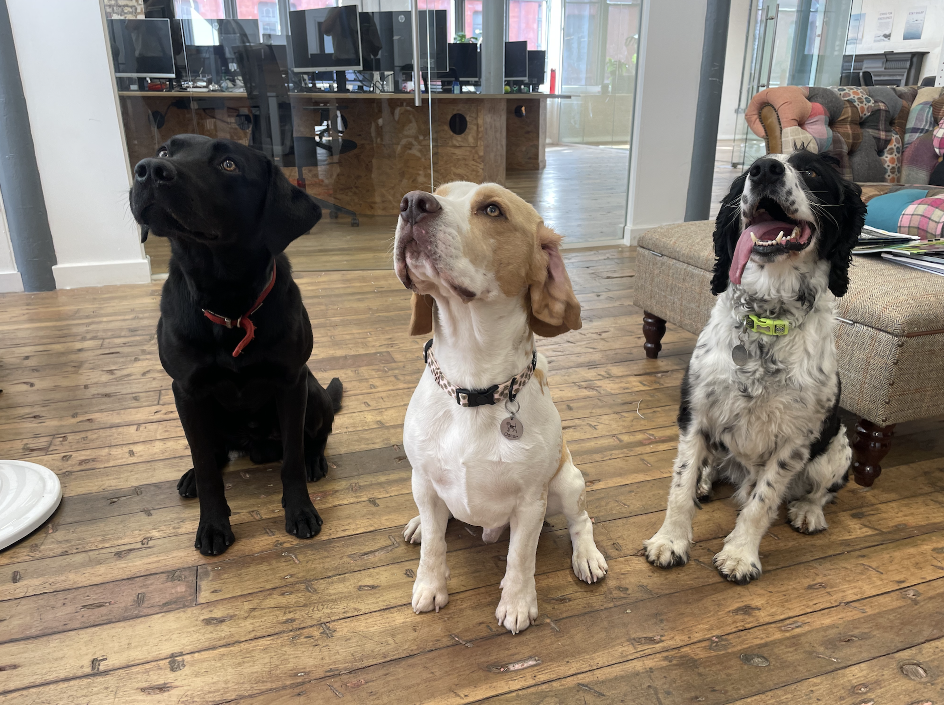 Screenshot 2023-12-14 at 15.56.29